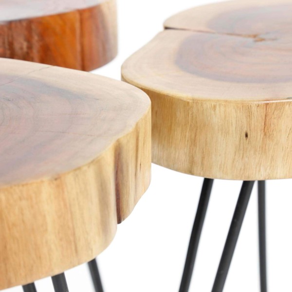 Table d'appoint en bois d'acacia massif (lot de 2) - Trunk