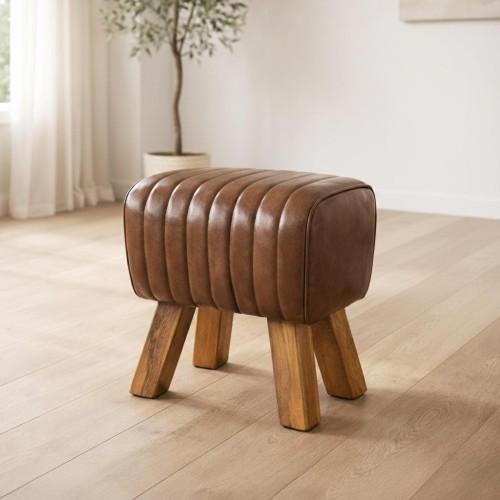 Cheval d’arçon cuir - You