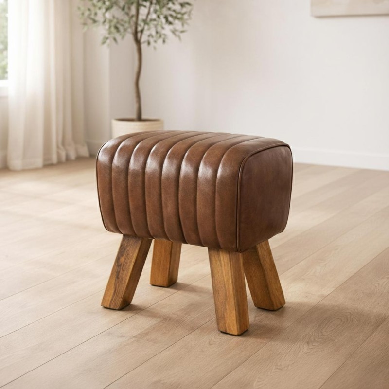 Cheval d’arçon cuir - You