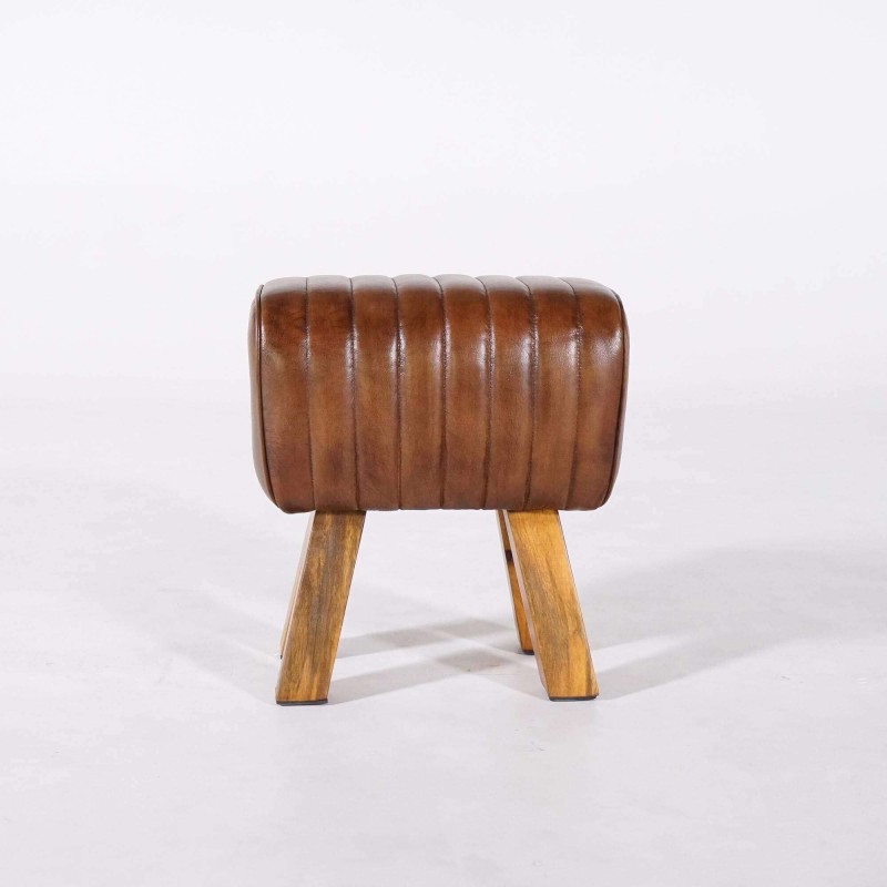 Cheval d’arçon cuir - You